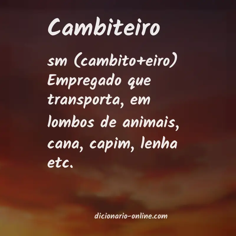 Significado de cambiteiro