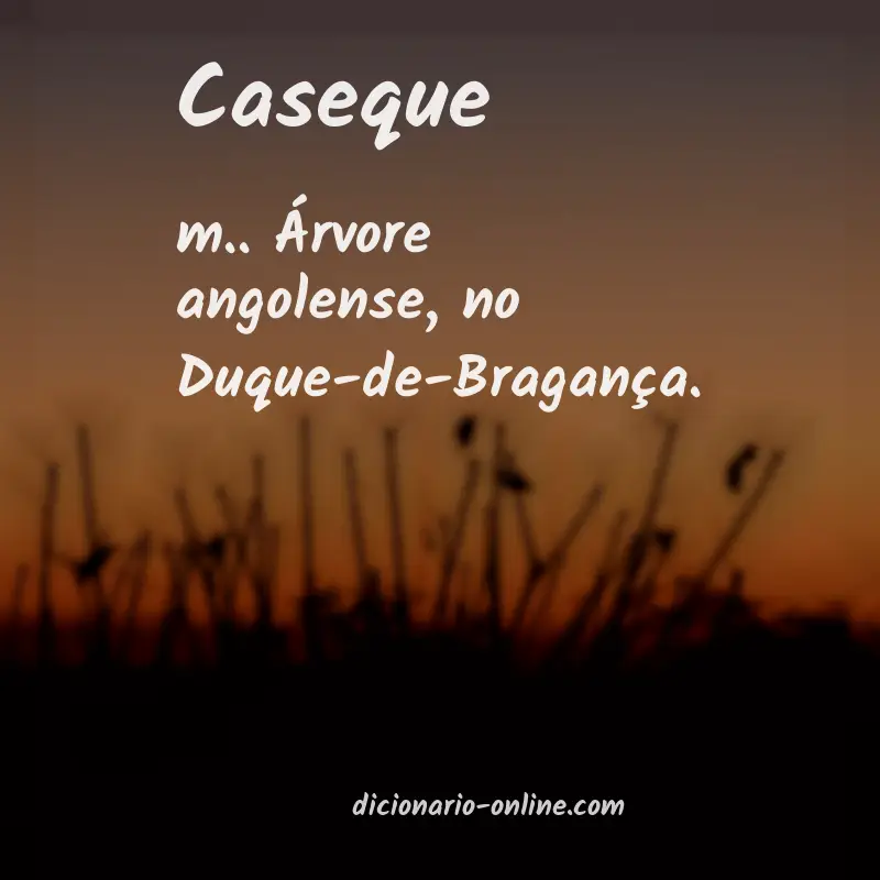 Significado de caseque