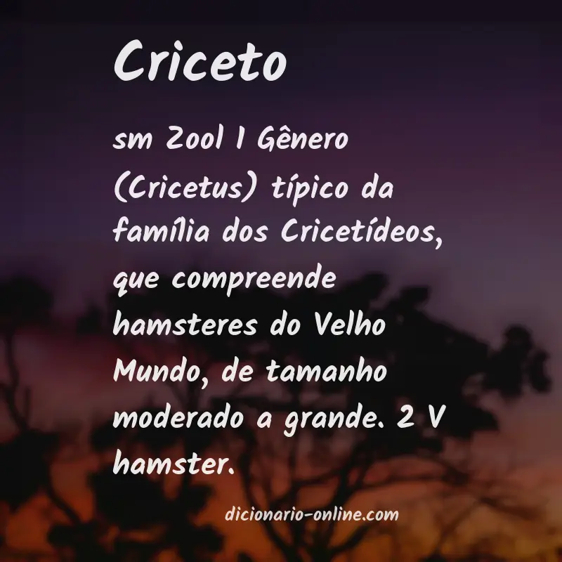 Significado de criceto