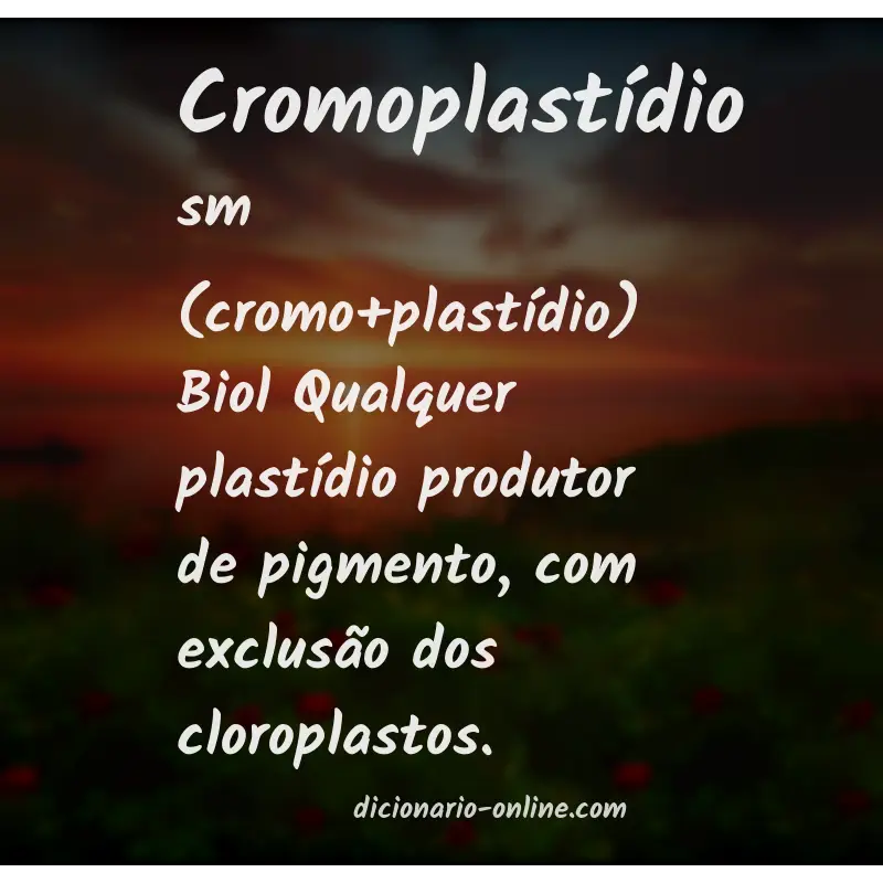Significado de cromoplastídio