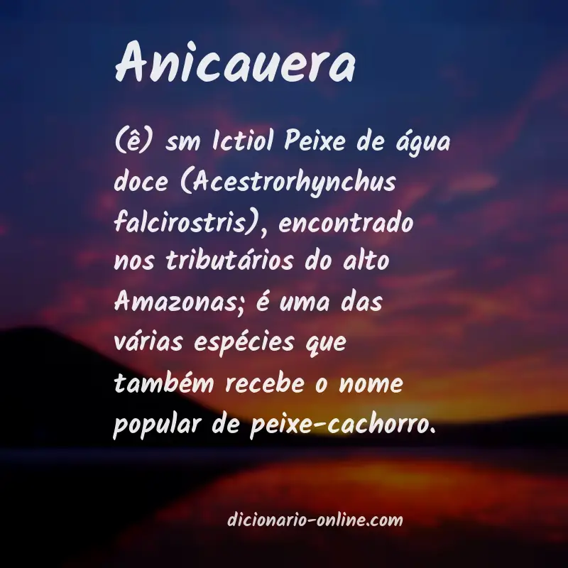 Significado de anicauera