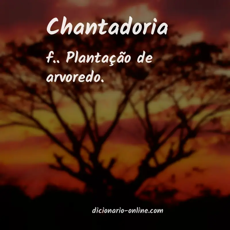 Significado de chantadoria