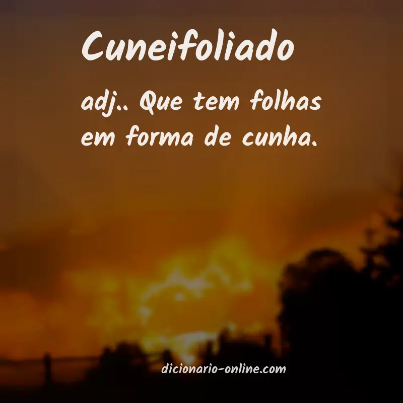 Significado de cuneifoliado