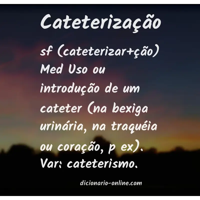 Significado de cateterização