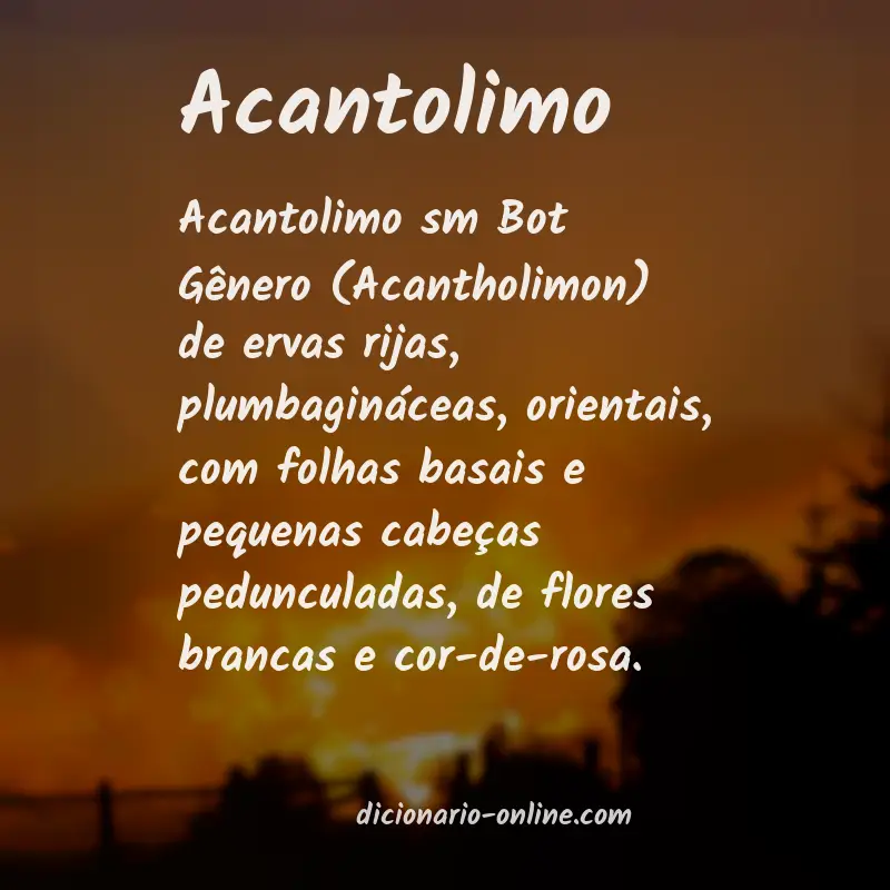 Significado de acantolimo