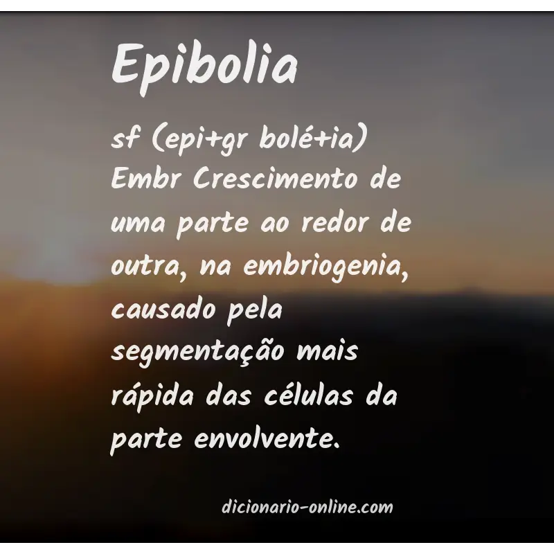 Significado de epibolia