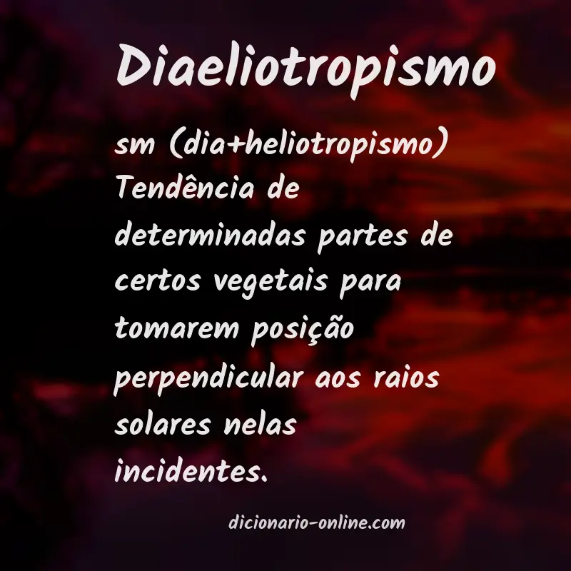 Significado de diaeliotropismo