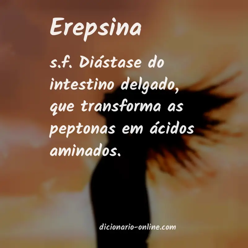 Significado de erepsina