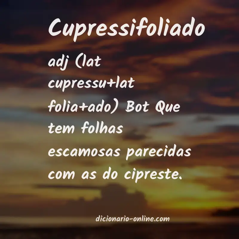 Significado de cupressifoliado