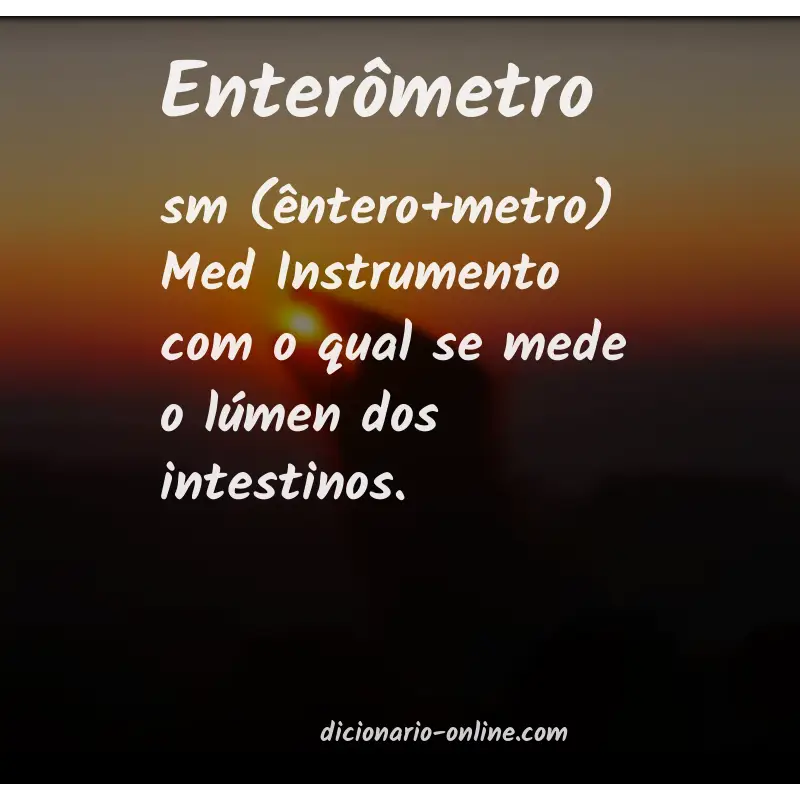 Significado de enterômetro