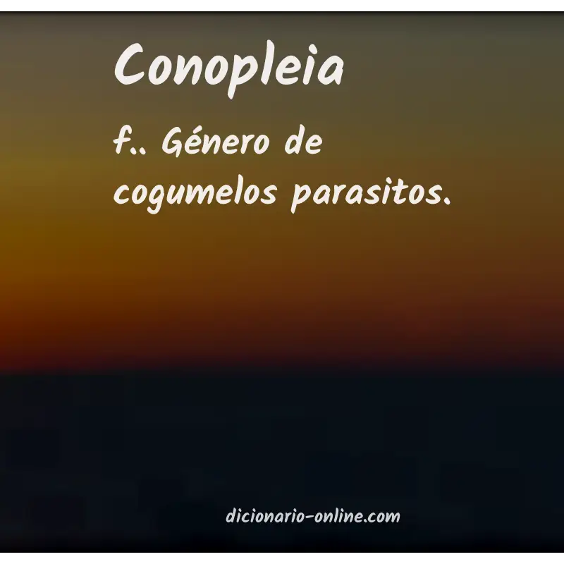 Significado de conopleia