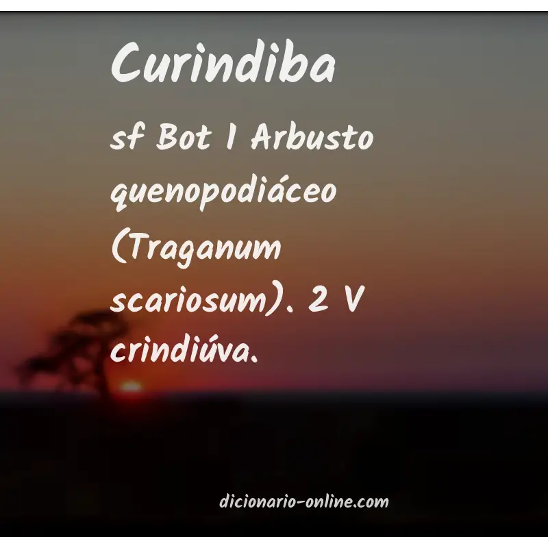 Significado de curindiba