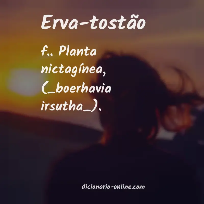Significado de erva-tostão