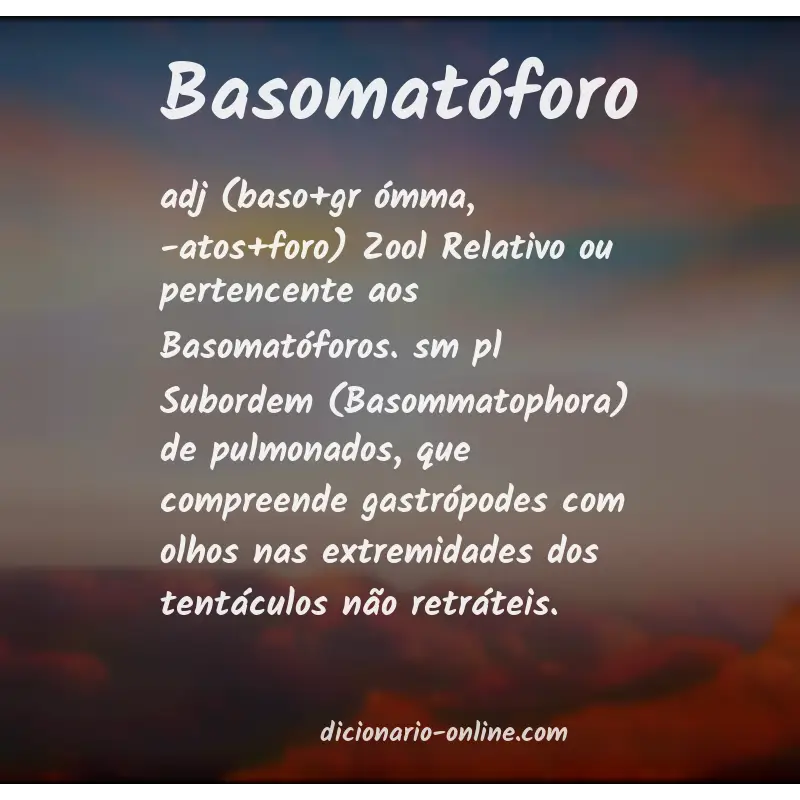 Significado de basomatóforo
