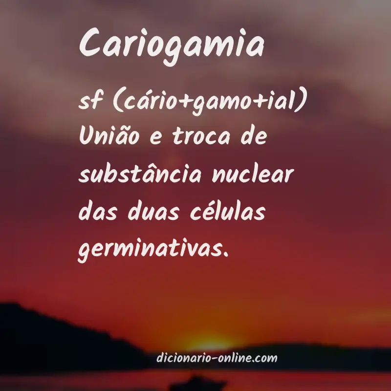 Significado de cariogamia