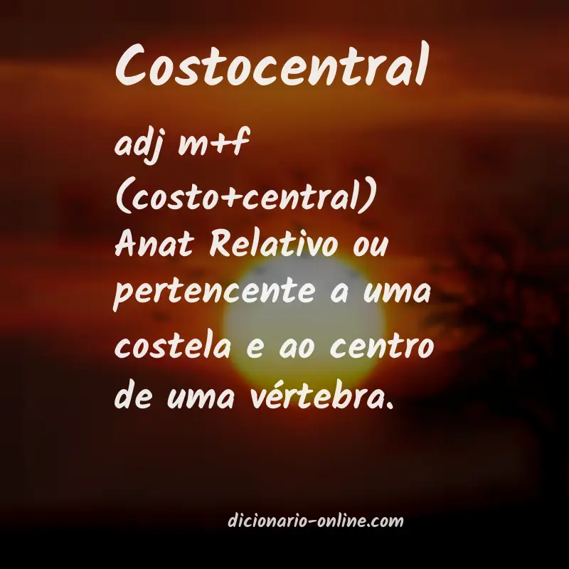 Significado de costocentral