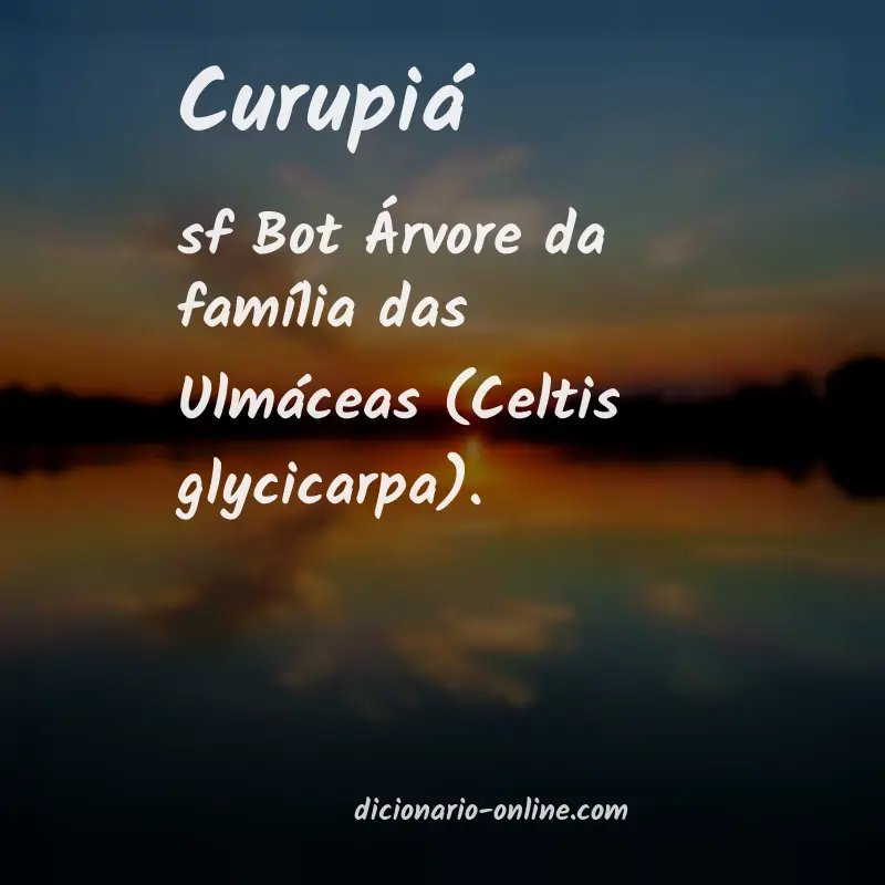 Significado de curupiá