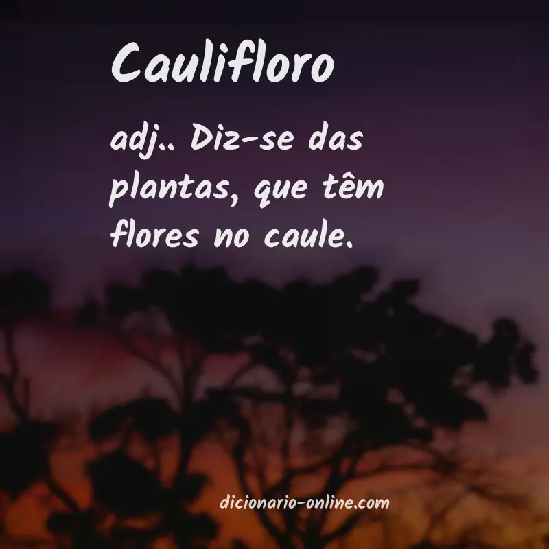 Significado de caulifloro