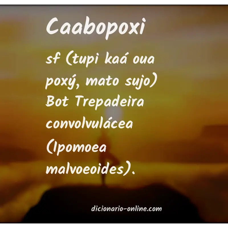 Significado de caabopoxi