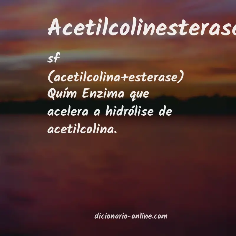 Significado de acetilcolinesterase