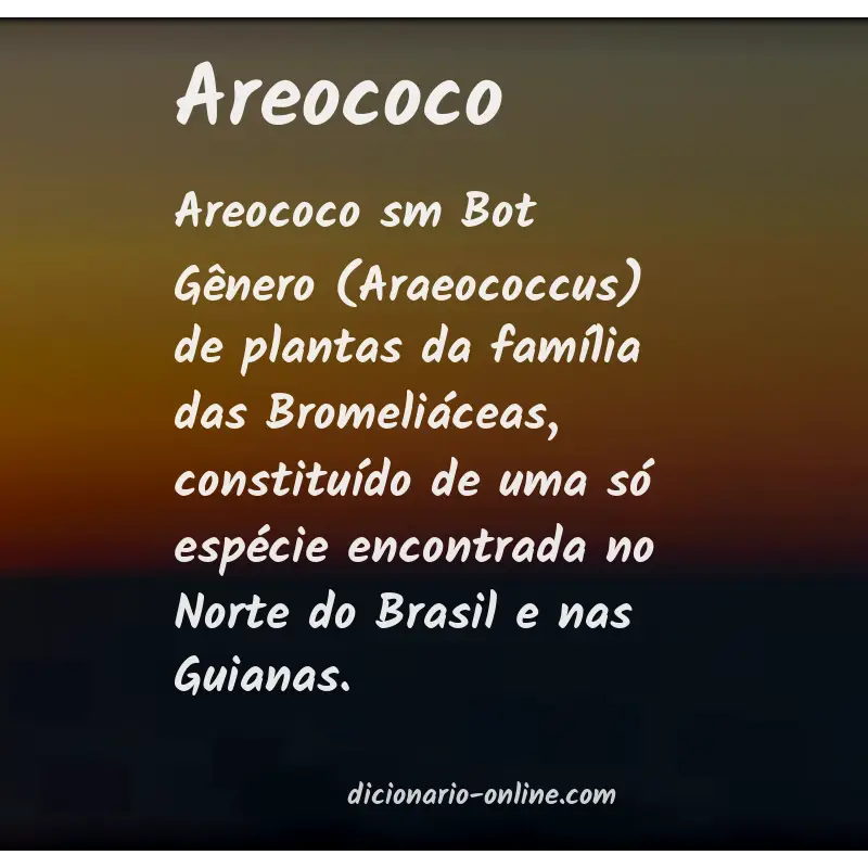 Significado de areococo