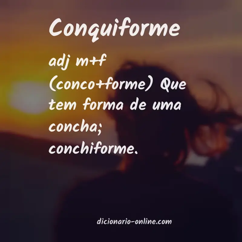 Significado de conquiforme