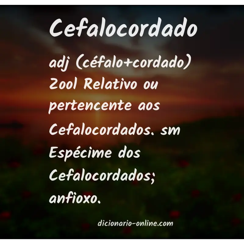 Significado de cefalocordado