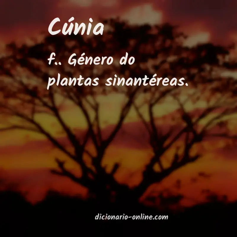 Significado de cúnia