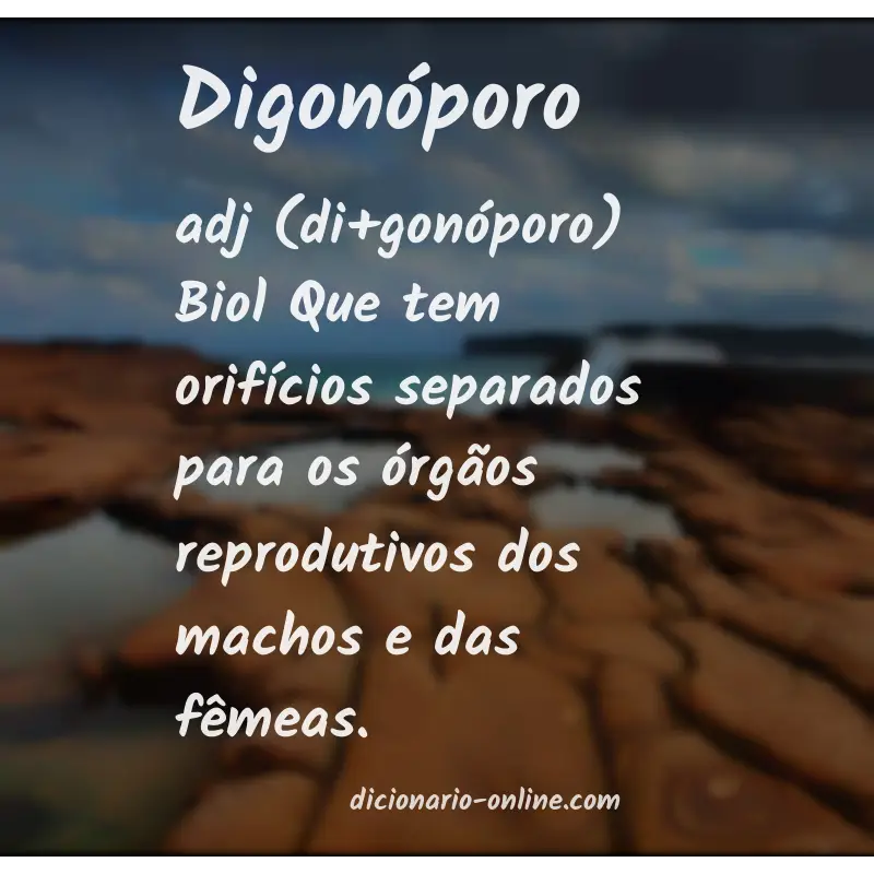 Significado de digonóporo