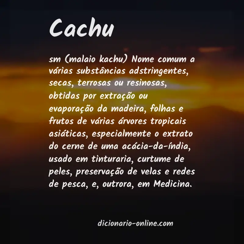 Significado de cachu