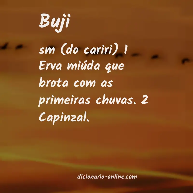 Significado de buji