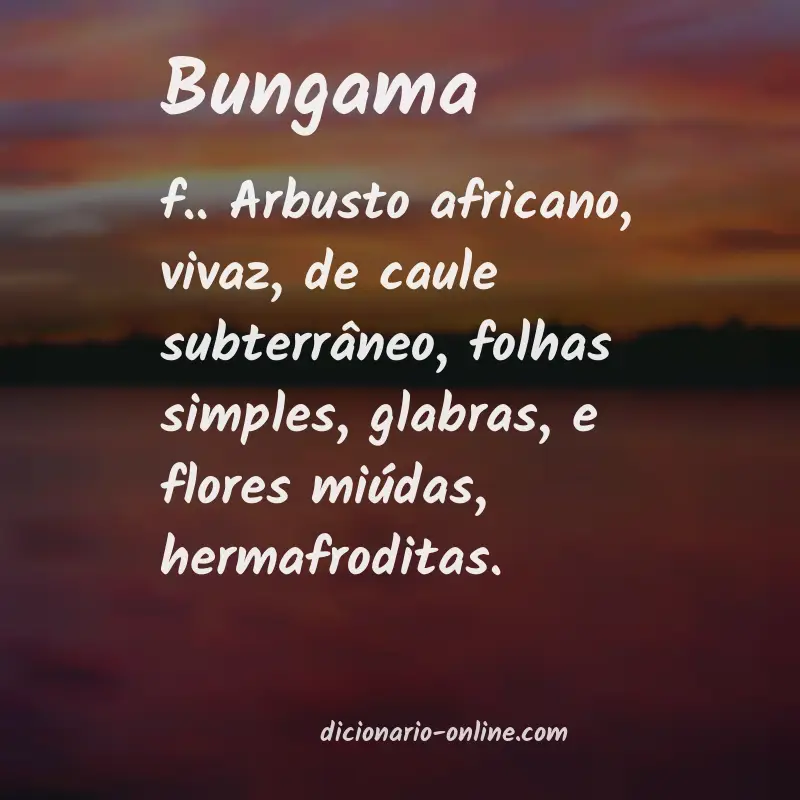 Significado de bungama