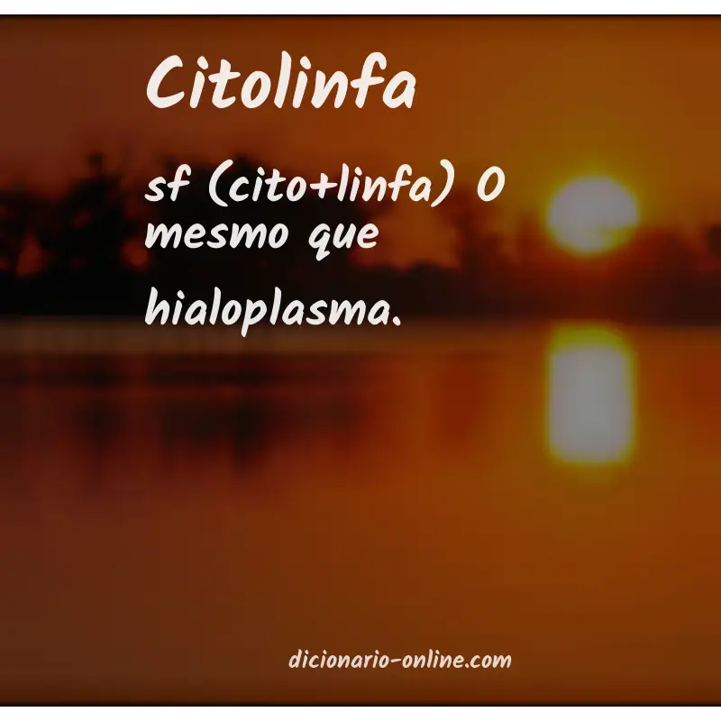 Significado de citolinfa