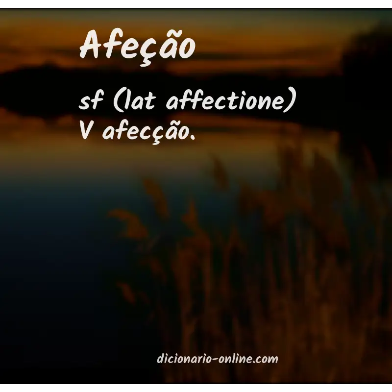 Significado de afeção