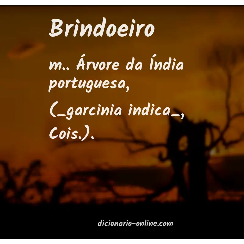 Significado de brindoeiro