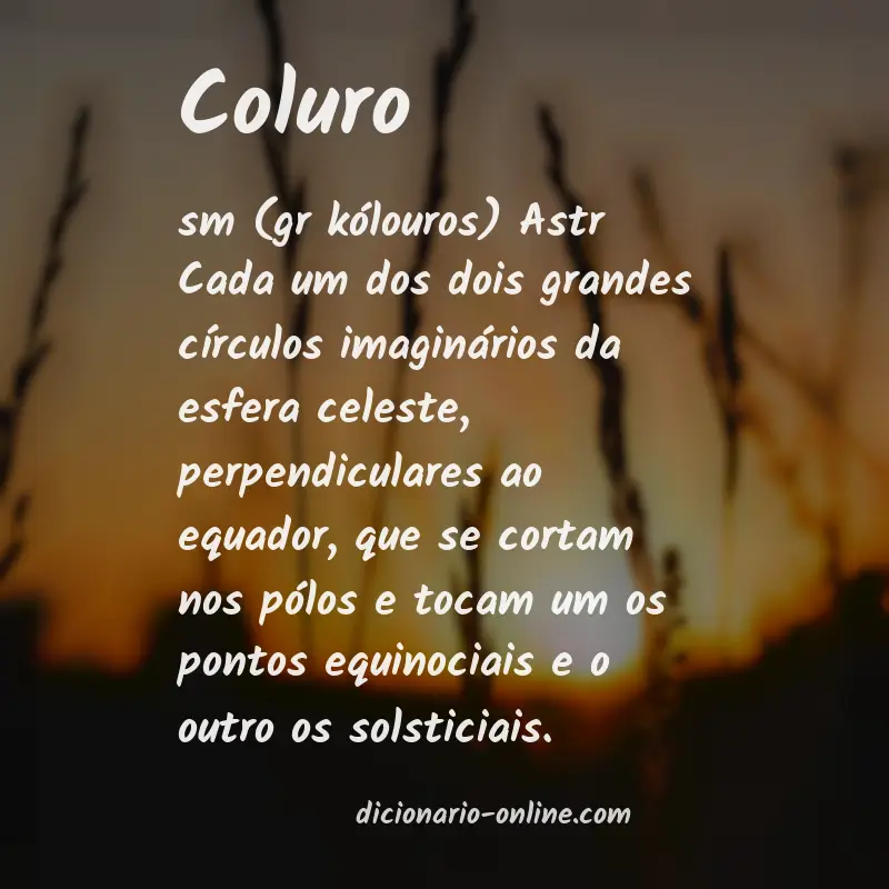 Significado de coluro