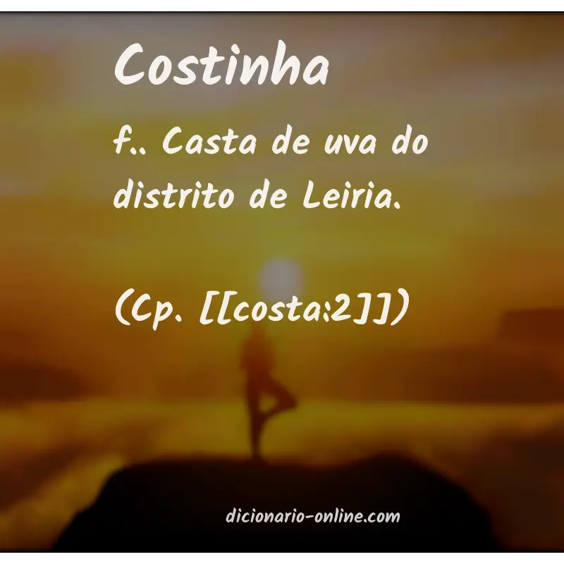 Significado de costinha