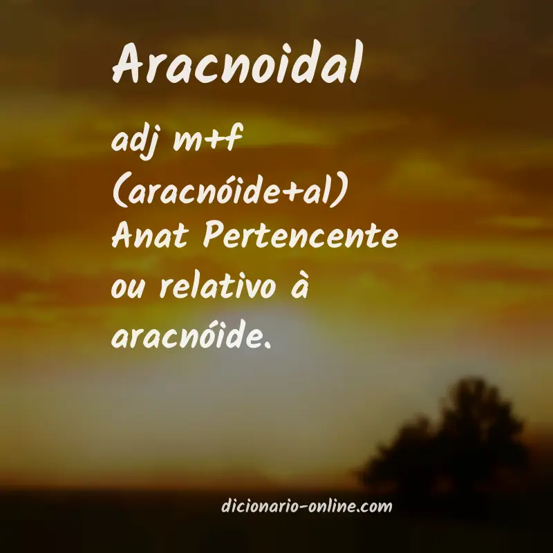 Significado de aracnoidal
