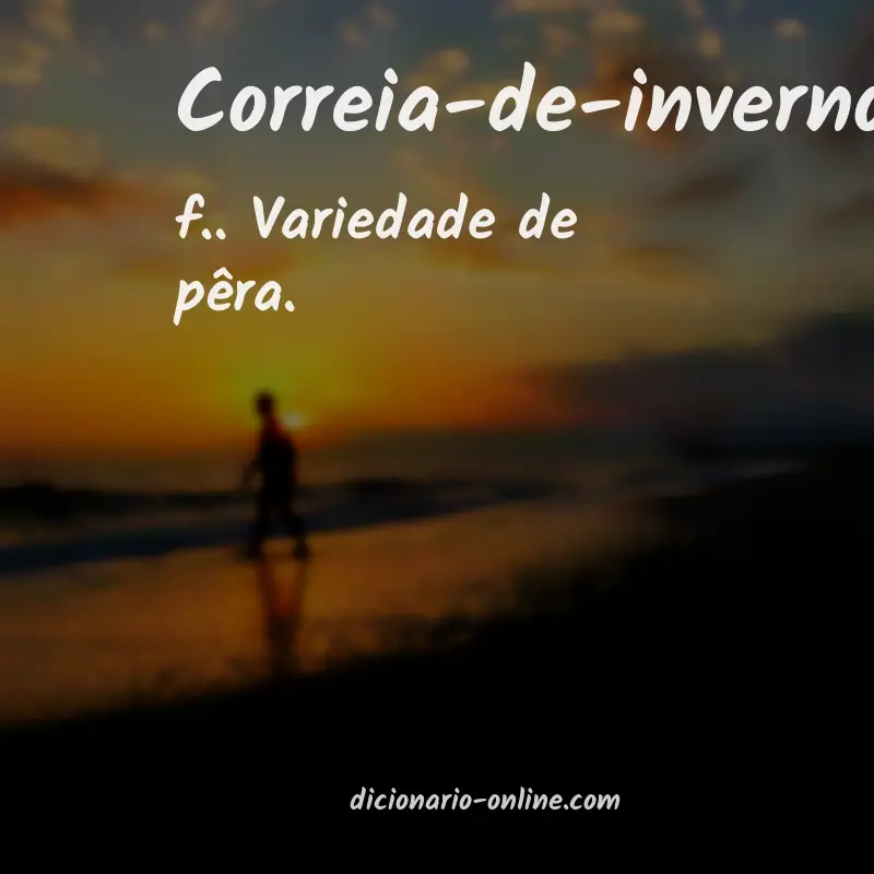 Significado de correia-de-inverno