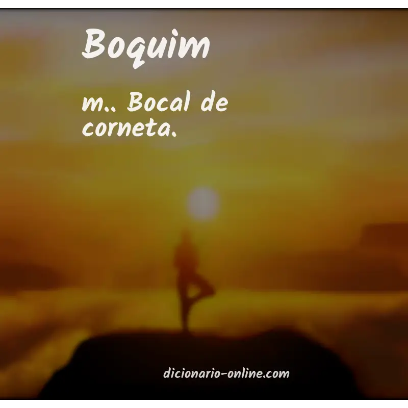 Significado de boquim