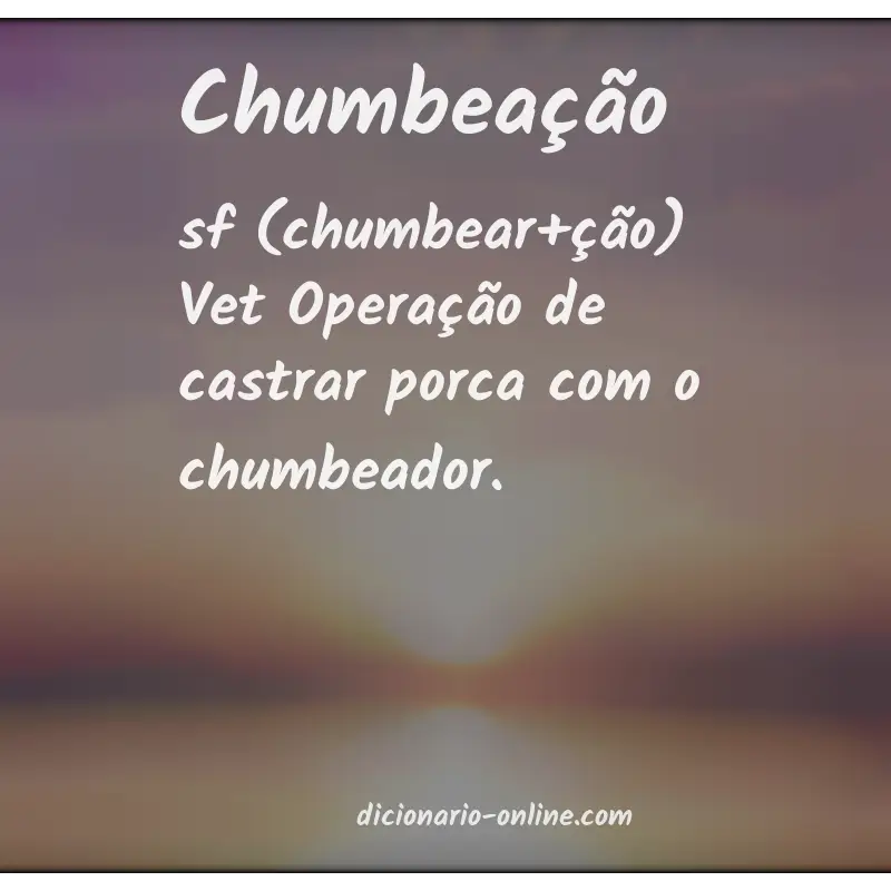 Significado de chumbeação
