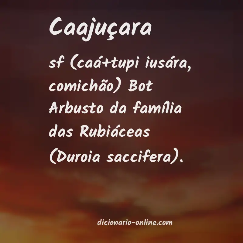 Significado de caajuçara