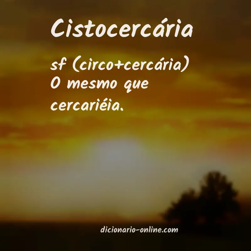 Significado de cistocercária