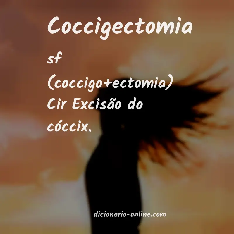 Significado de coccigectomia