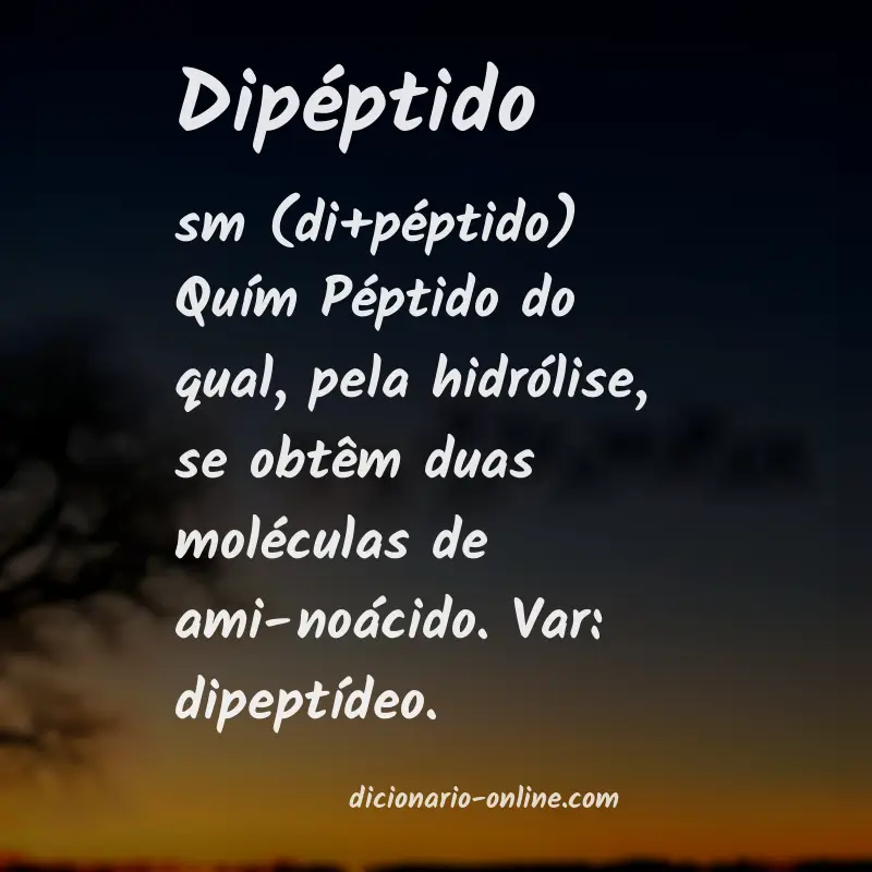 Significado de dipéptido