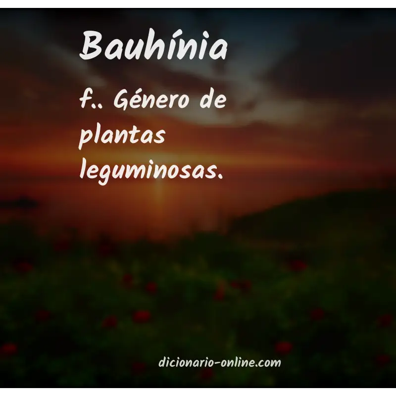 Significado de bauhínia