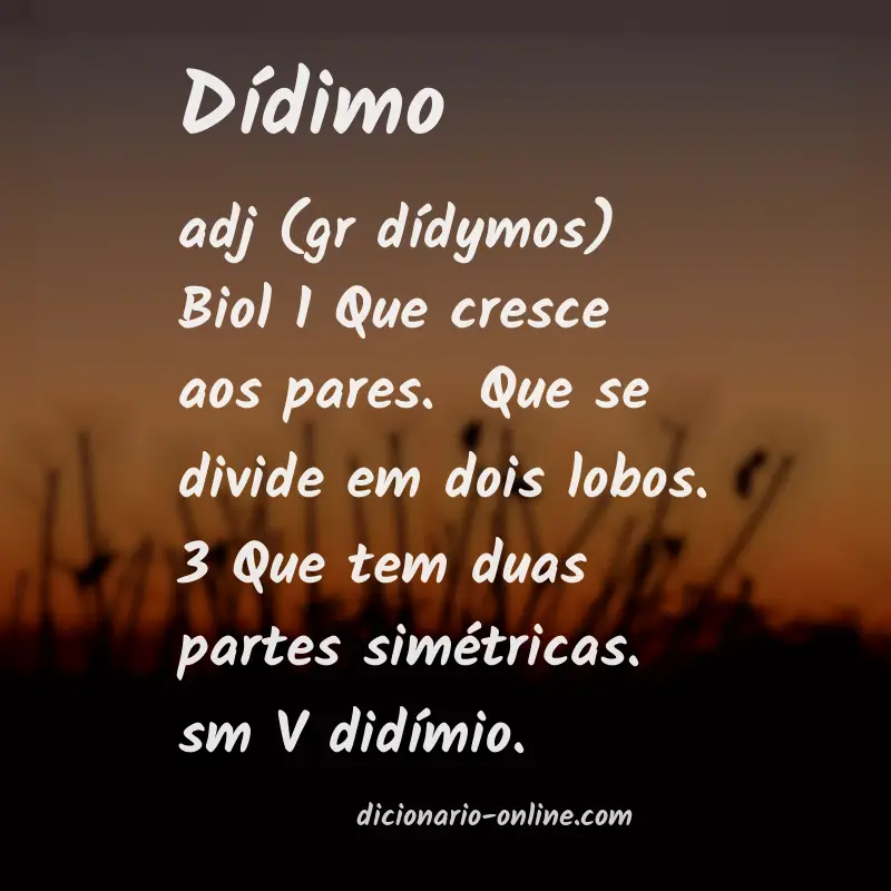 Significado de dídimo