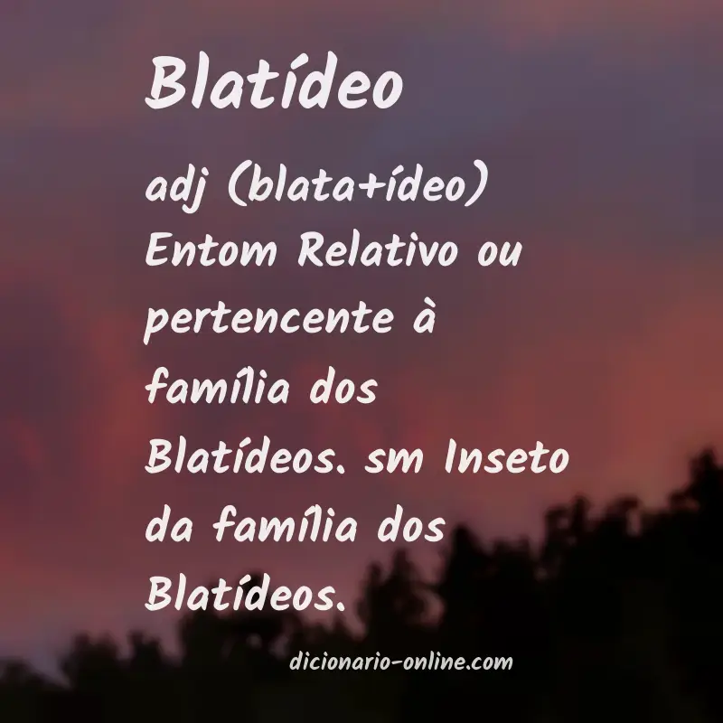 Significado de blatídeo