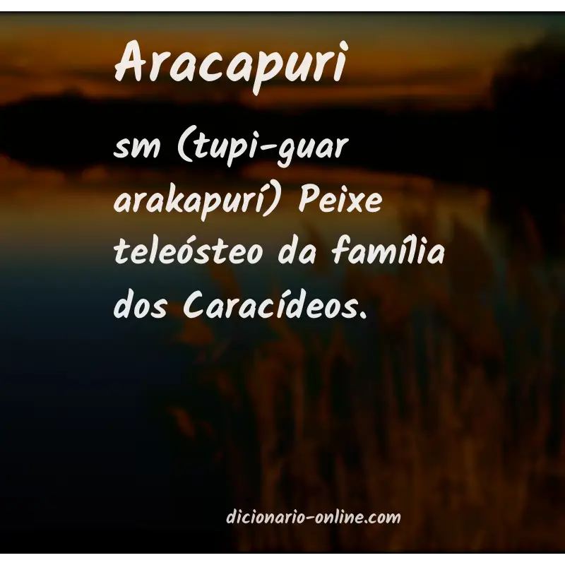 Significado de aracapuri