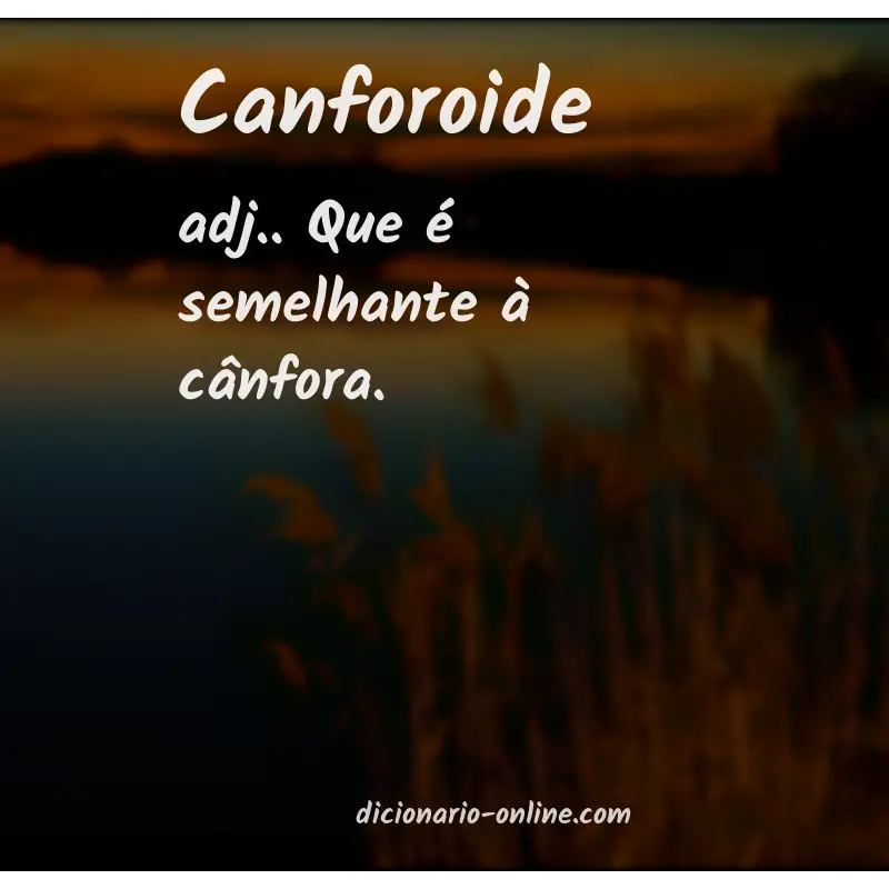 Significado de canforoide